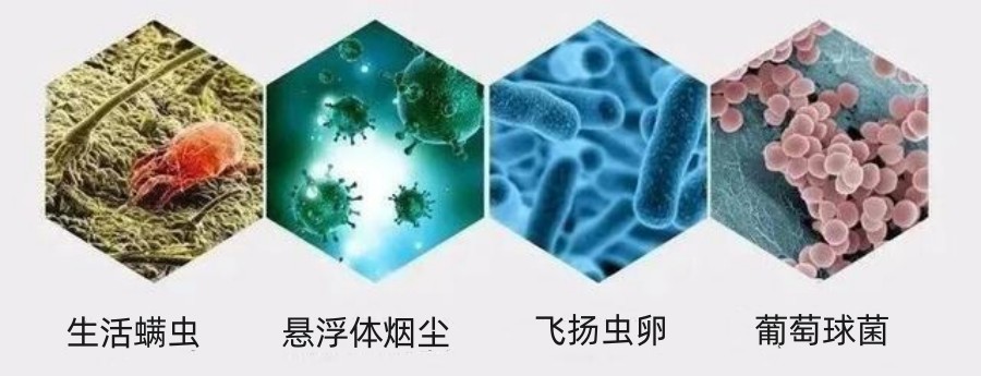 空调通风系统滋生的污染物要如何清洗？-空调清洗-通风系统清洗