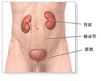 人体自身的神奇补肾法-空调清洗-清洗空调-开景空调清洗